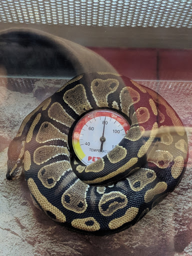 Pet Supply Store «Petco Animal Supplies», reviews and photos, 3012 Bridgepointe Pkwy, San Mateo, CA 94404, USA