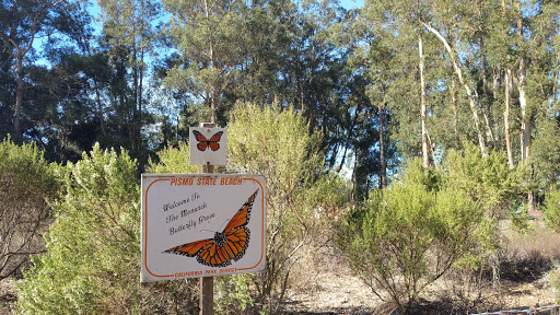 Nature Preserve «Monarch Butterfly Grove», reviews and photos, 400 S Dolliver St, Pismo Beach, CA 93449, USA