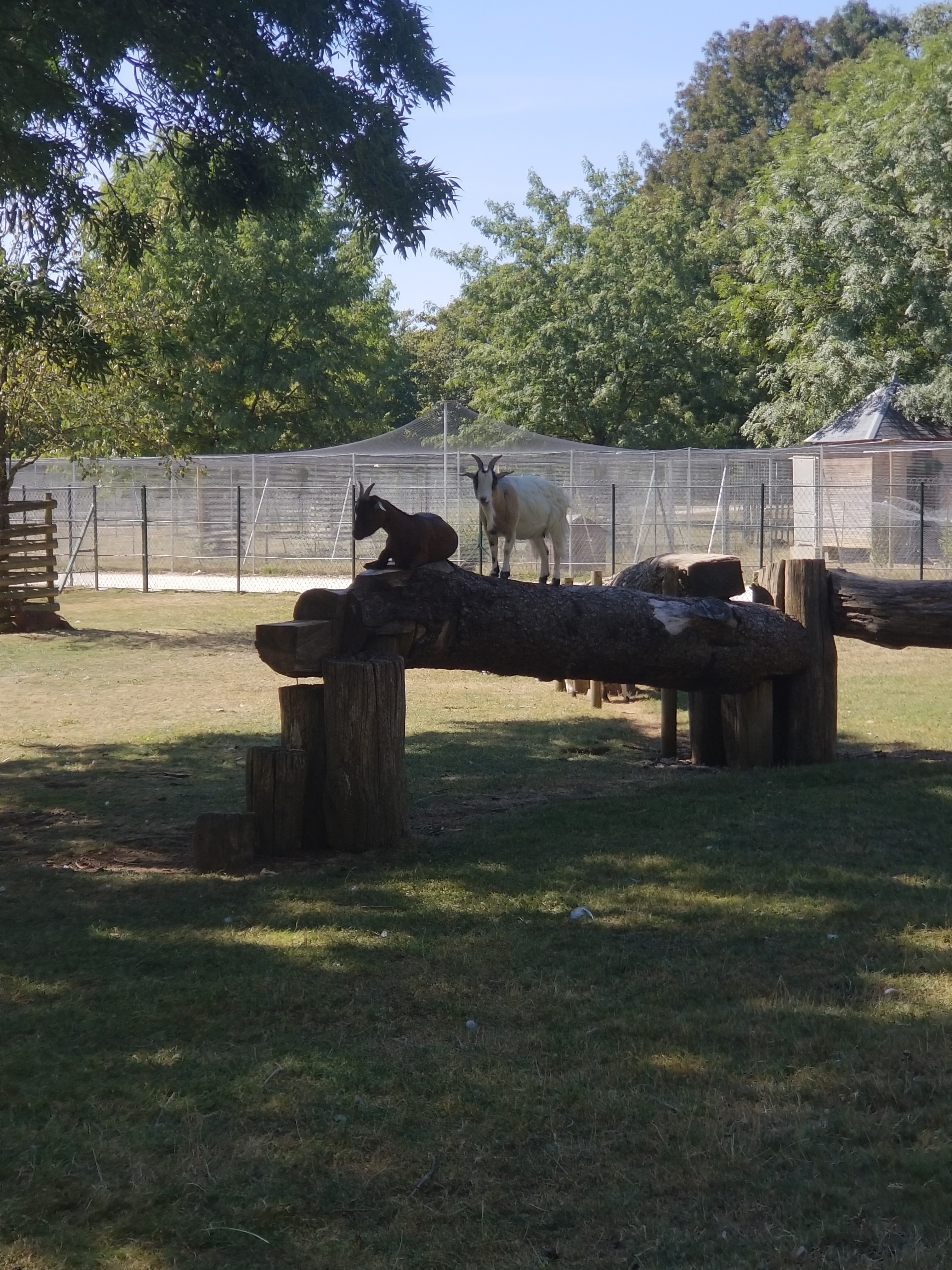 Photo n° 1 de l'avis de Rodney.e fait le 13/09/2018 à 14:49