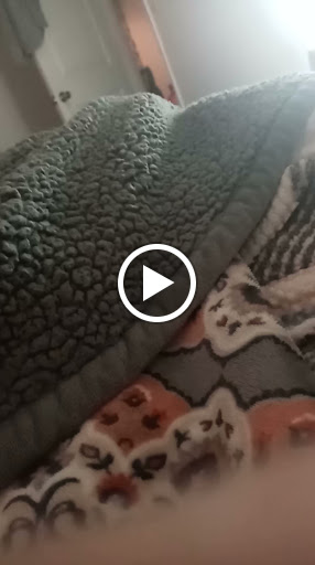 Walgreens, 152 N Buckman St, Shepherdsville, KY 40165, USA, 