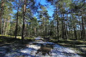 I2-skogen (Parkering och Entré) image