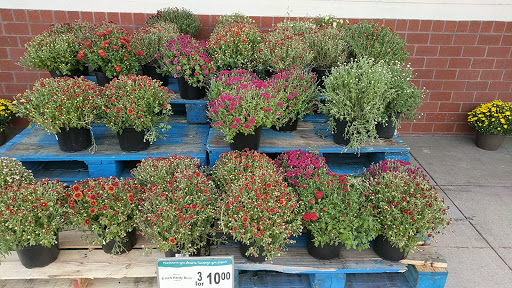 Supermarket «Farm Fresh», reviews and photos, 683 S Hughes Blvd, Elizabeth City, NC 27909, USA