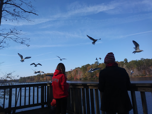 Public Golf Course «Newport News Golf Club at Deer Run», reviews and photos, 901 Clubhouse Way, Newport News, VA 23608, USA