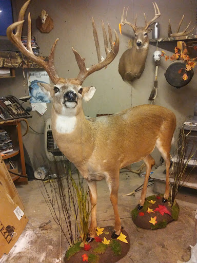 Sanford Taxidermy and Wildlife Creations