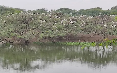 Uppalapadu Sanctuary Lake image