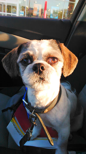 Pet Supply Store «Petco Animal Supplies», reviews and photos, 2255 East Ridge Road, Irondequoit, NY 14622, USA