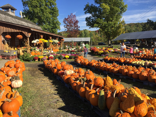Produce Market «The Bigsby Market», reviews and photos, 1418 Dryden Rd, Freeville, NY 13068, USA