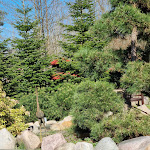 Photo n°3 de l'avis de Ja. fait le 20/04/2022 à 17:23 sur le  Restaurant im Koigarten Burg à Burg