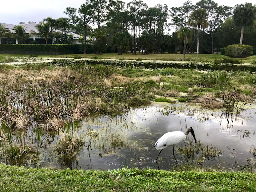 Golf Club «Old Marsh Golf Club», reviews and photos, 7500 Old Marsh Rd, Palm Beach Gardens, FL 33418, USA