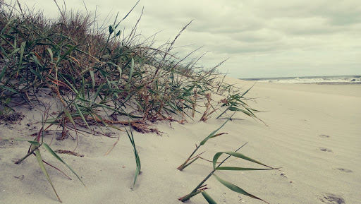 Community Center «Avalon Community Hall», reviews and photos, 3001 Avalon Ave, Avalon, NJ 08202, USA