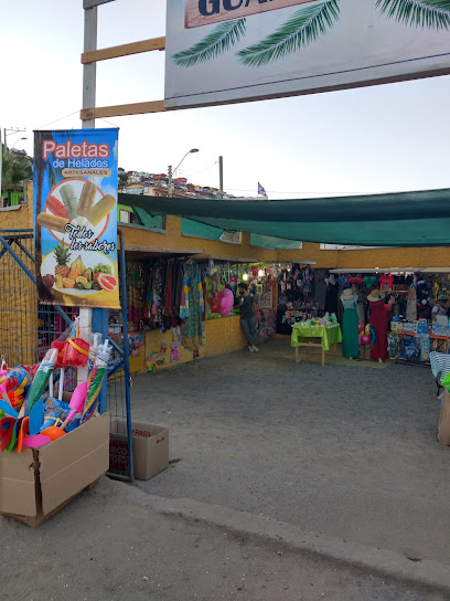 Feria Oficial de Verano Guanaqueros