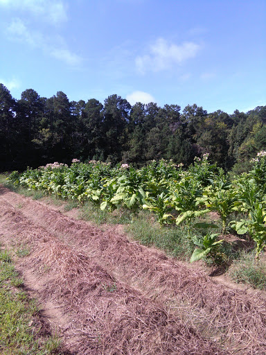 Historical Landmark «Duke Homestead», reviews and photos, 2828 Duke Homestead Rd, Durham, NC 27705, USA