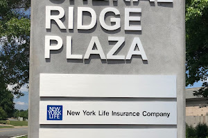 New York Life Insurance-Jonathan Kazemi