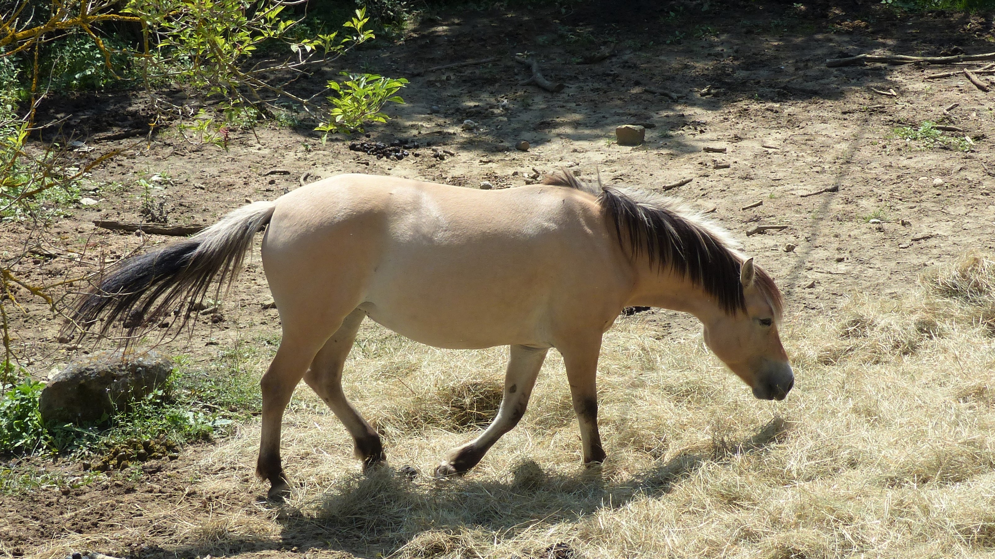 Photo n° 1 de l'avis de Sylvie.a fait le 26/08/2018 à 16:08