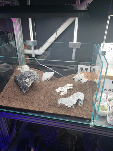 Tropical Fish Store «Manhattan Aquariums», reviews and photos, 522 W 37th St, New York, NY 10018, USA