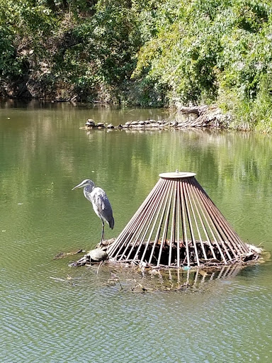 Park «Hoblitzelle Park», reviews and photos, 7500 Red River Dr, Plano, TX 75025, USA