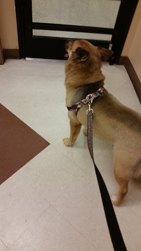 Pet Supply Store «PetSmart», reviews and photos, 14420 Farm to Market 2920, Tomball, TX 77377, USA