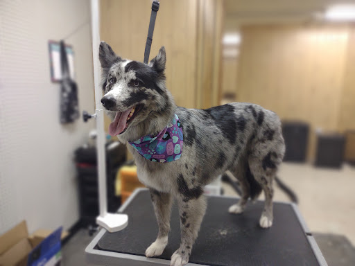 Black Hills Groom Room