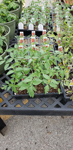 Hardware Store «J-town Hardware and Rental», reviews and photos, 10513 Watterson Trail, Jeffersontown, KY 40299, USA