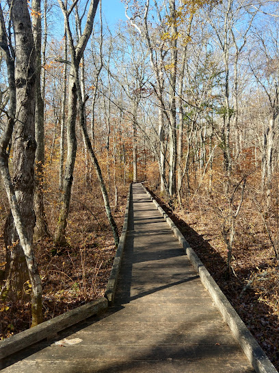 Whitehead Preserve at Dundery Brook