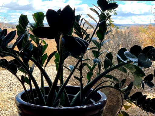 Nature Preserve «Swaner Preserve and EcoCenter», reviews and photos, 1258 Center Dr, Park City, UT 84098, USA