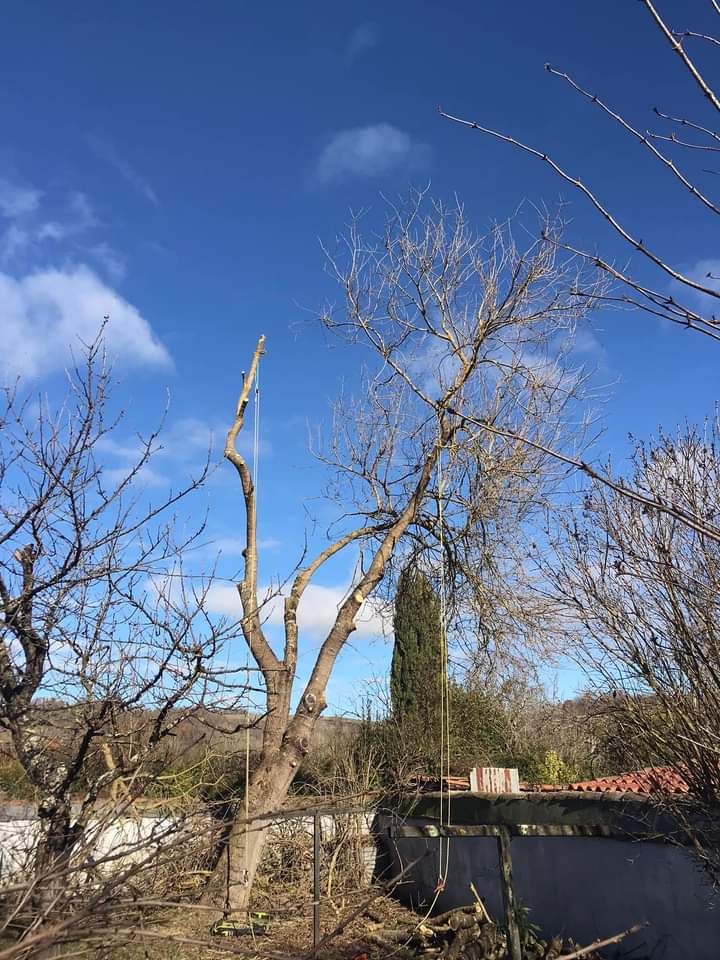 Photo n° 2 de l'avis de Sarah.I fait le 28/01/2024 à 10:37