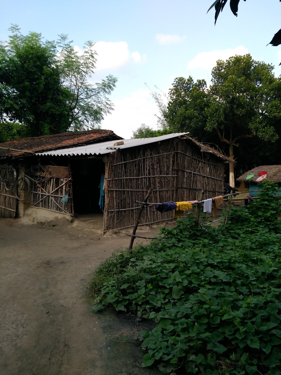 Birpur