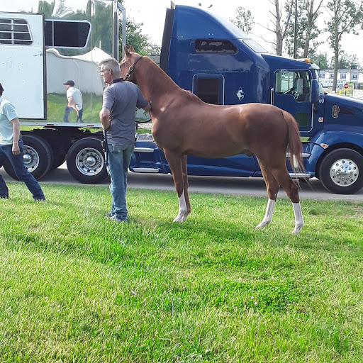 Arena «World Equestrian Center», reviews and photos, 4095 OH-730, Wilmington, OH 45177, USA