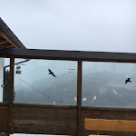 Photo n°2 de l'avis de Francesco.a fait le 27/12/2017 à 12:27 sur le  Festner Hütte à Olang