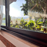 Photo n°2 de l'avis de Alessandro.o fait le 14/11/2023 à 18:31 sur le  Ristorante Zi Teresa à Montescudo-Monte Colombo