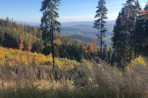 Owl Mountains Landscape Park image