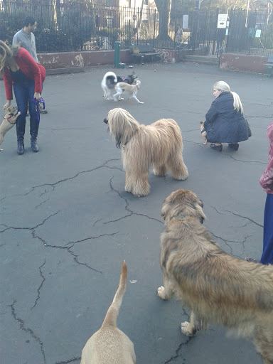 Park «Carleton Court Dog Park», reviews and photos, Southwest Corridor Path, Boston, MA 02116, USA