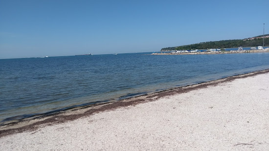 Pokopalisce skoljk