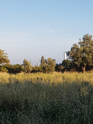 Amf - Transitários - Vila Franca de Xira