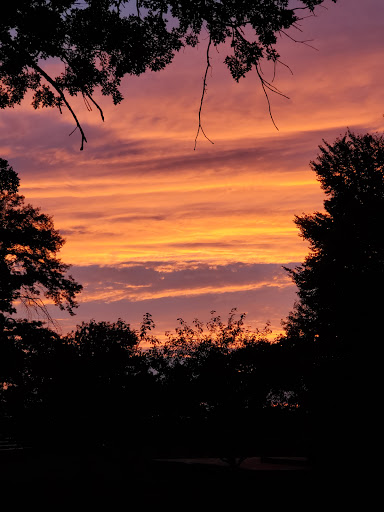 Park «Paulus Park», reviews and photos, 200 S Rand Rd, Lake Zurich, IL 60047, USA