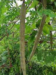 Photo n°22 de Le Saint James à Carcès ()