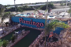 Flamingo Adventure GOLF image