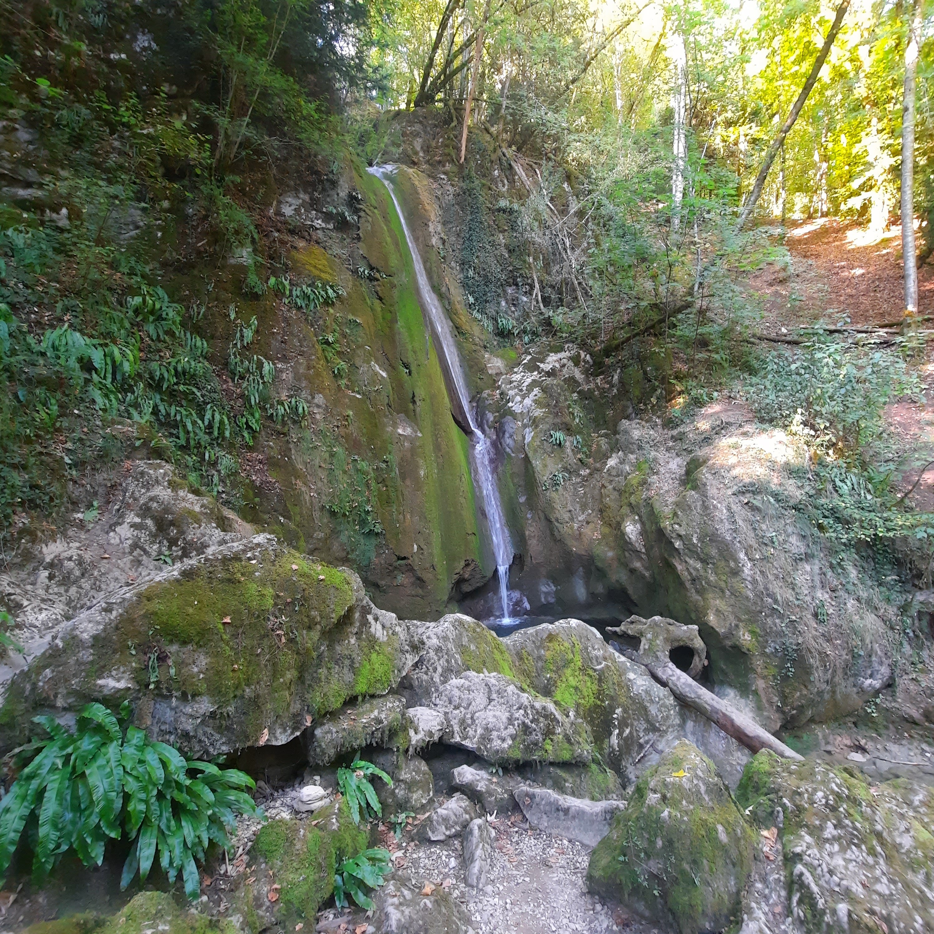Photo n° 3 de l'avis de Hanus.e fait le 25/07/2022 à 08:30