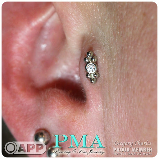 Body Piercing Shop «Wasted Youth Tattoo & PMA Piercing», reviews and photos, 1335 Lakeside Dr #1, Romeoville, IL 60446, USA