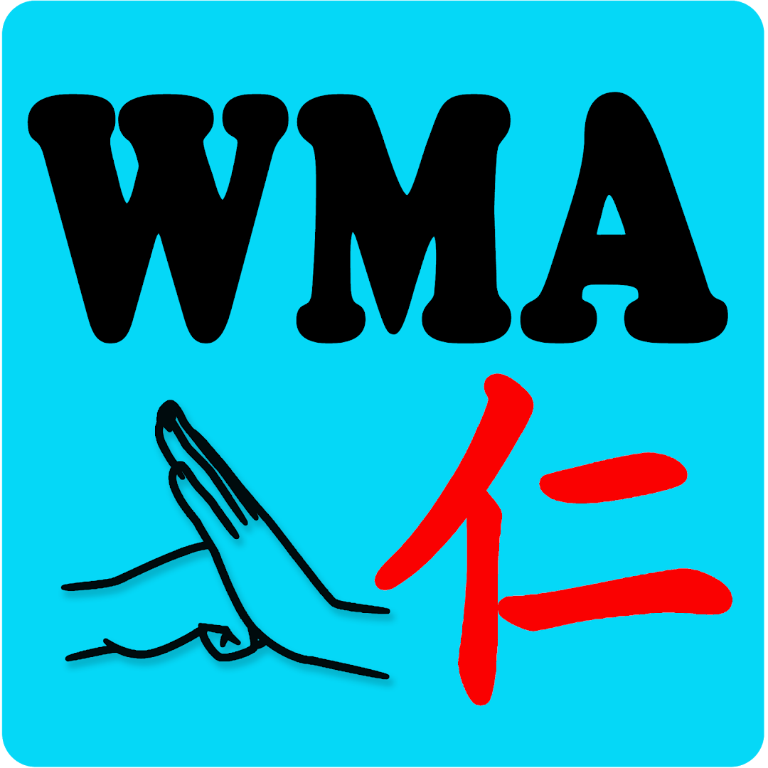 Wangs Martial Arts