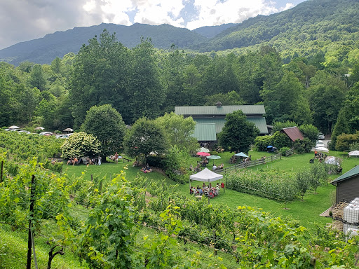 Vineyard «Grandfather Vineyard & Winery», reviews and photos, 225 Vineyard Ln, Banner Elk, NC 28604, USA