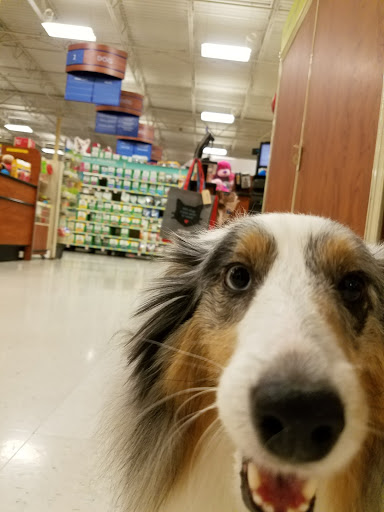 Pet Supply Store «PetSmart», reviews and photos, 2784 Wilma Rudolph Blvd, Clarksville, TN 37040, USA