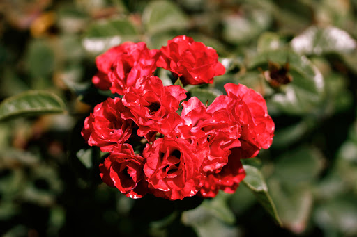 Park «Draper Historical Park», reviews and photos, 12625 900 E, Draper, UT 84020, USA