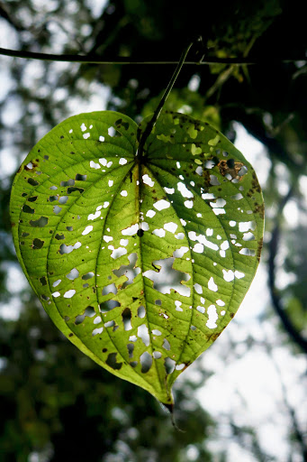 Nature Preserve «Tree Hill Nature Center», reviews and photos, 7152 Lone Star Rd, Jacksonville, FL 32211, USA
