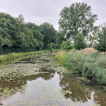 Photo n°3 de l'avis de Edith.u fait le 28/07/2023 à 07:04 sur le  Hotel Restaurant Große Teichsmühle à Dülmen