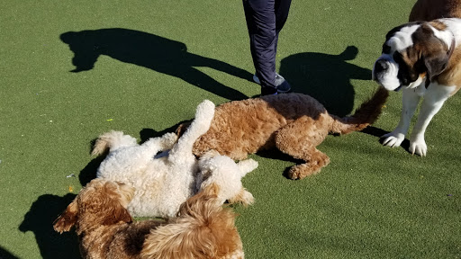 Dog Park «Bay Park Dog Park», reviews and photos, 2 Marjorie Ln, East Rockaway, NY 11518, USA