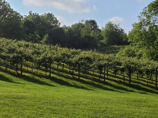Winery «Three Oaks Vineyard LLC», reviews and photos, 1591 Crosley Rd, Granville, OH 43023, USA