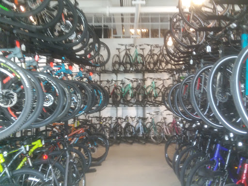 Bicycle Store «The Bicycle Planet», reviews and photos, 340 Robbins Ln, Syosset, NY 11791, USA