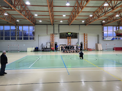 Sala sporturilor Lavinia Miloșovici
