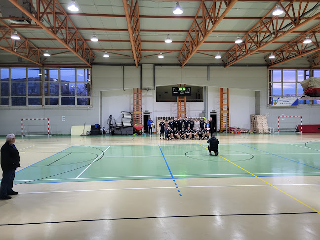 Sala sporturilor Lavinia Miloșovici